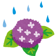 雨と紫陽花のイラスト