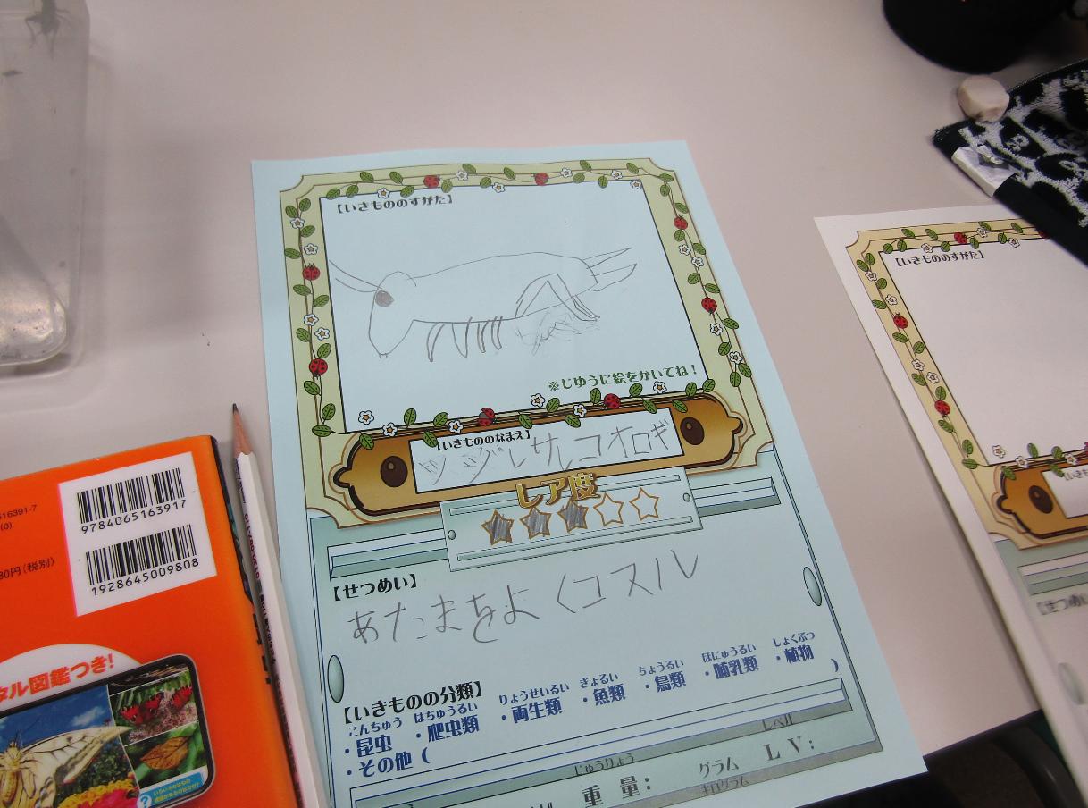 自然観察写真(7)