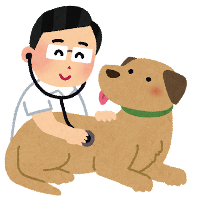 動物愛護のイラスト